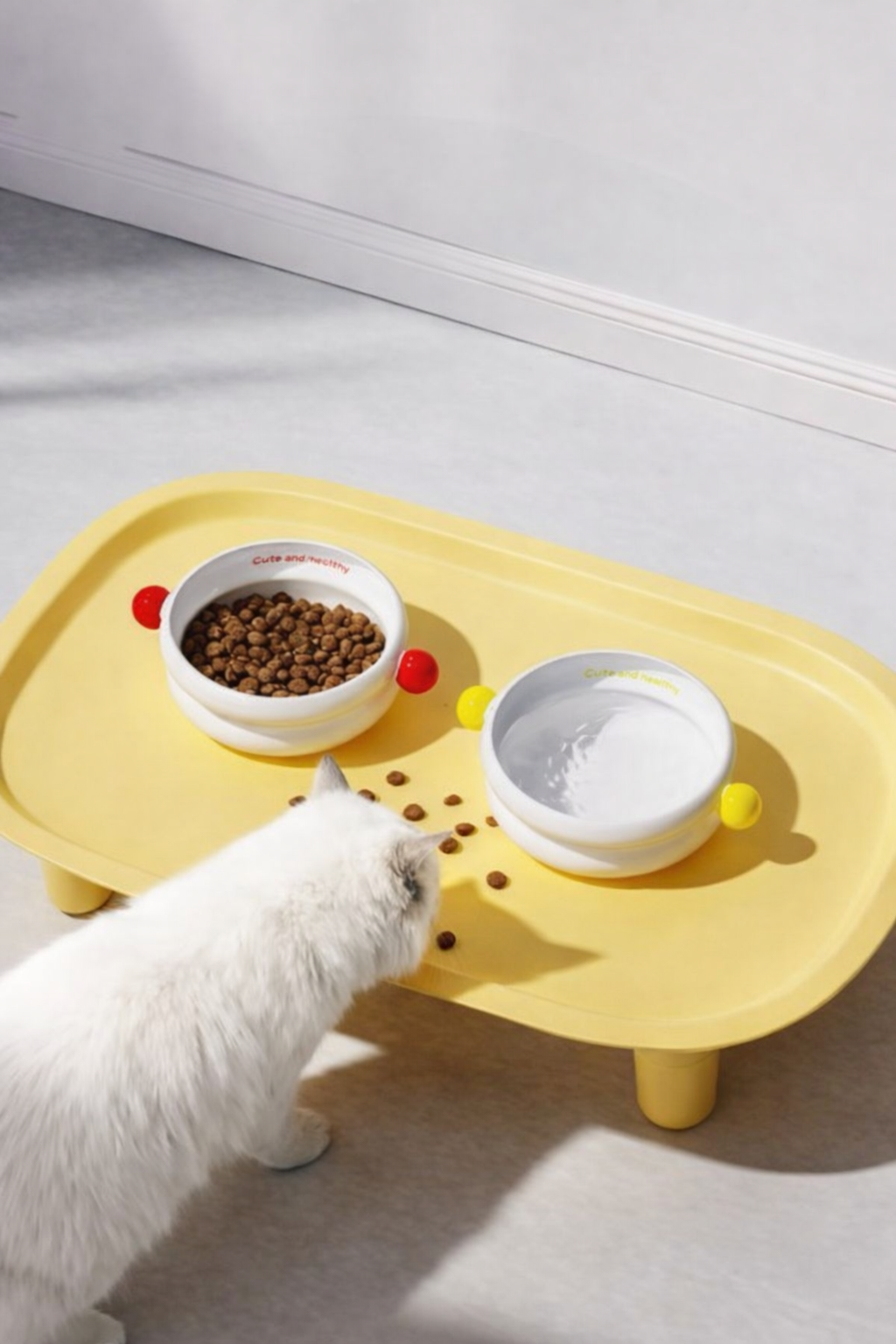 Pet Elevated Feeding Tray