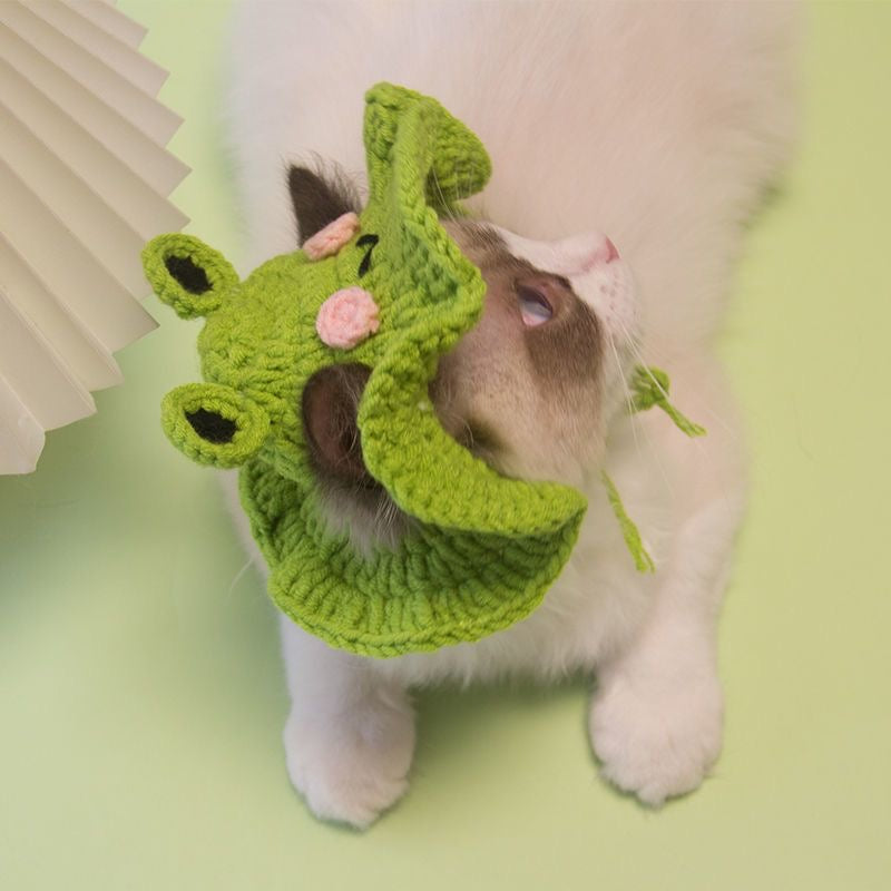 Cute Frog Knitted Hat