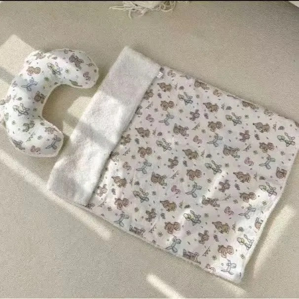 Pet Blanket with Pillow Set