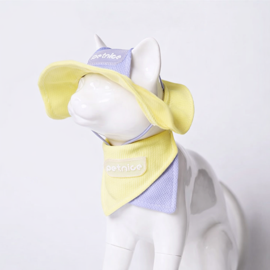 Pet Sun Hat with Scarf