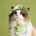 Pet Sun Hat with Scarf