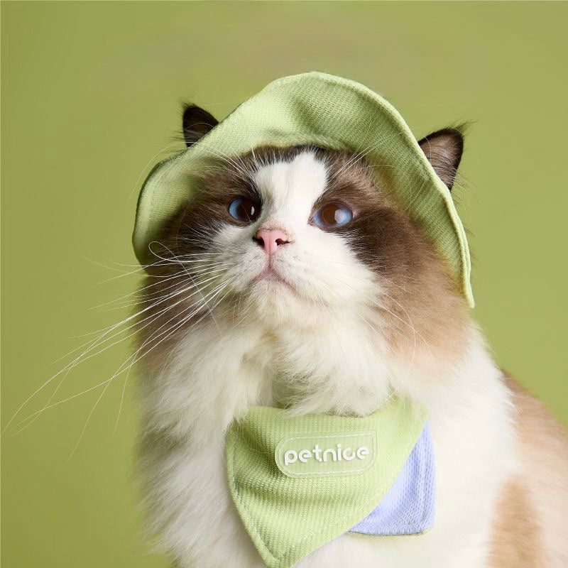 Pet Sun Hat with Scarf