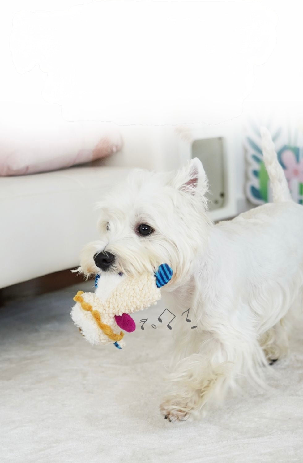 Plush Dog Toy Squeaky