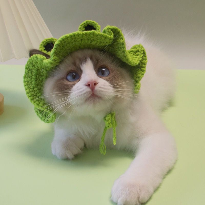Cute Frog Knitted Hat