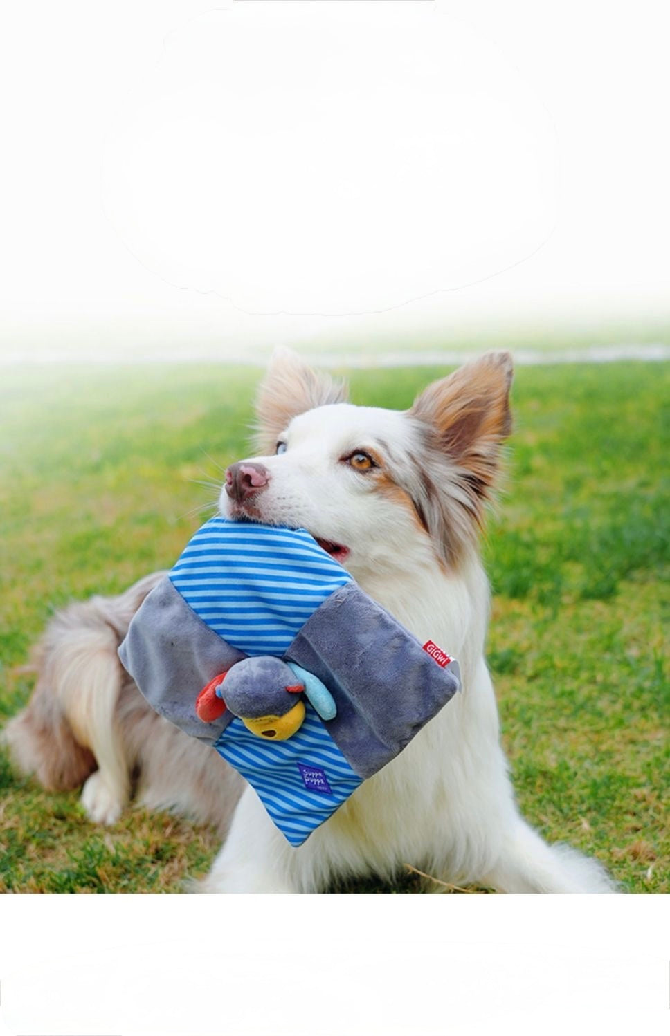 Squeaky Pillow Toy
