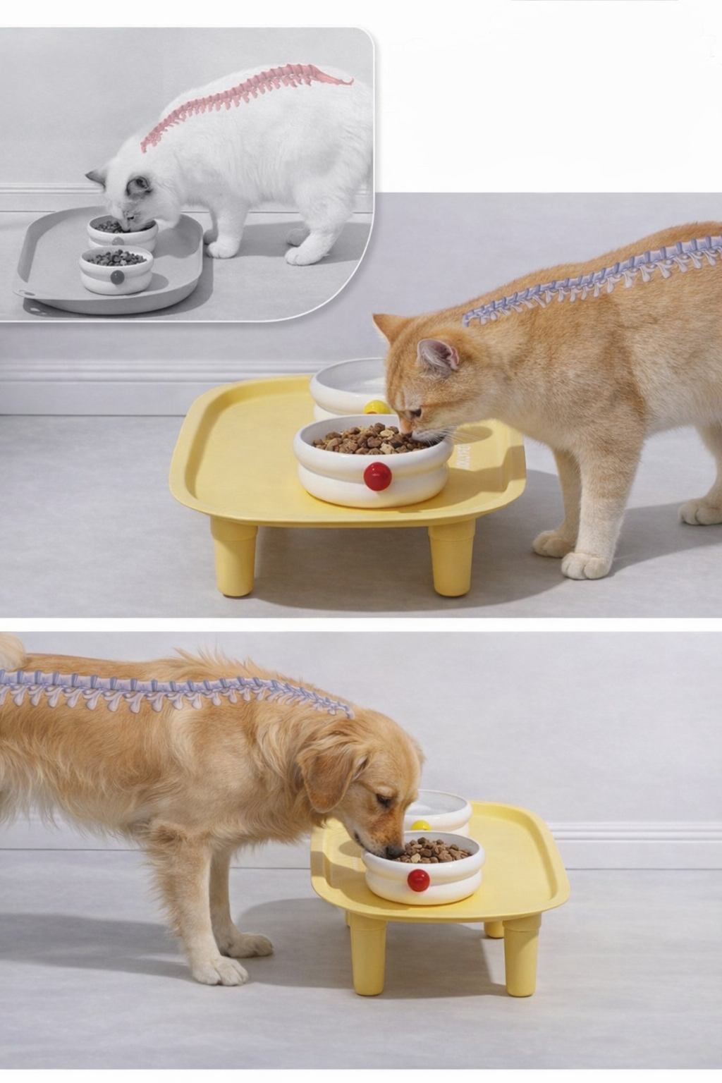 Pet Elevated Feeding Tray