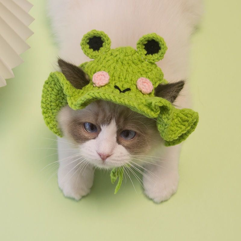 Cute Frog Knitted Hat
